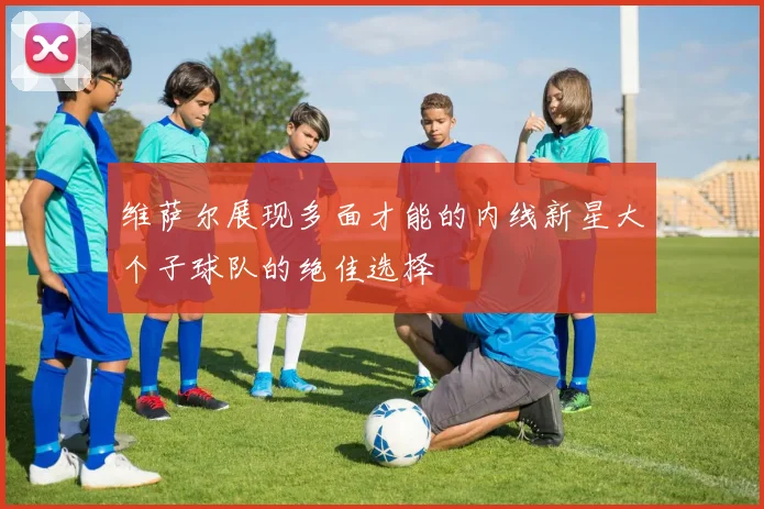 维萨尔展现多面才能的内线新星大个子球队的绝佳选择